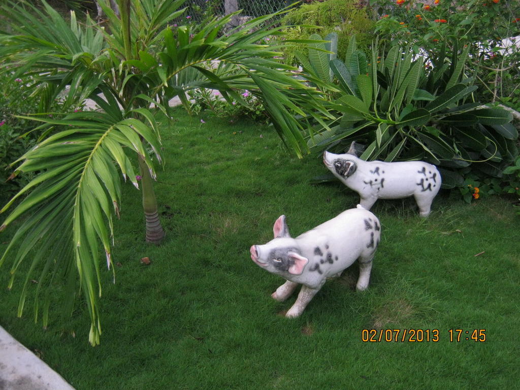 Sea Winds Resort Mui Ne Exterior foto